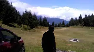 YAYŞAKLALAR ÇIRA İÇİN AĞAÇLARI KESMİŞ LER