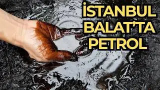 İSTANBUL BALAT'TA PETROL ÇIKMASI VE OSMANLI MECLİSİ KARARI