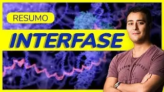 Ciclo Celular: Interfase | RESUMÃO | Prof. Paulo Jubilut