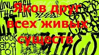 в гости к шерстяному , житиё Якова , яблочный пирог