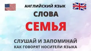 Семья. Видео словарь. Английский для начинающих. English.