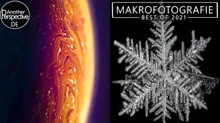 Das Beste aus der MAKROFOTOGRAFIE in 2021 | 6 Fotoideen in 2 Minuten