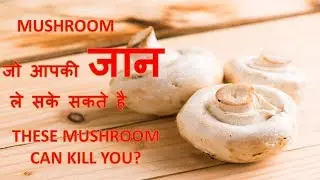 TOP 10 DEADLY MUSHROOM THAT CAN KILL YOU