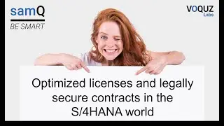 Optimized licenses and legally secure contracts in the S/4HANA world