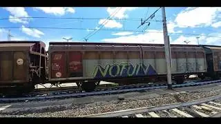 XNauta - Su questa costa