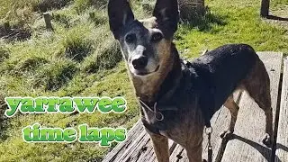 AVA walking Yarrawee Trail - Time Laps (16th July 2023)