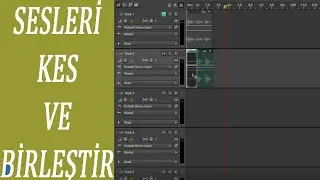 ADOBE AUDİTİON SES BİRLEŞTİRME VE SES KESME NASIL YAPILIR