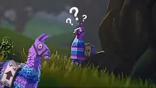 J'AI TROUVÉ LES 4 LAMA EN UNE GAME   (FORTNITE )