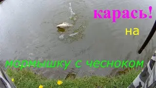 Карась на мормышку с чесноком! Боковой кивок. #карась