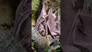 что