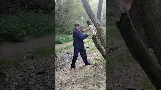 Цзю сюань лун мэнь пай. Поздравляю всех илущих вослед с началом нового учебного года!