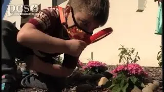 Kindergarten students learn about butterfly life cycle and pollination in their school garden.