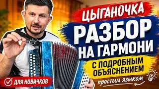 Цыганочка разбор на гармони для новичков с объяснениями деталей и основы