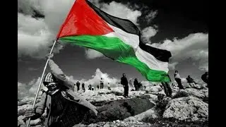 FB sisco palestine