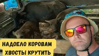 Уезжаем из тайской деревни