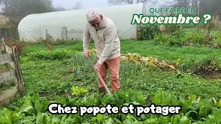 NOVEMBRE AU POTAGER, SEMIS & PLANTATIONS