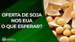 Oferta de soja nos EUA em declínio: O que esperar?