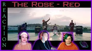 The Rose - 