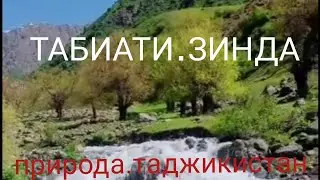 Табиати Зиндаи Нохияи Рашт. д.белги ва шахринав.5.май
