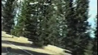 Wilbur's Travels Redwood Forest Thru San Francisco Part 11