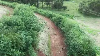 A Swale Based Food Forest (DRONE FOOTAGE)