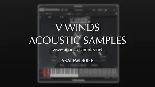 V Winds Double Reeds - Wind Controller