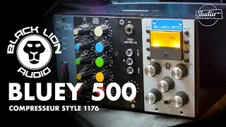 Black Lion Audio - Bluey 500 (No Talking Demo)