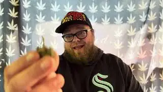 MANGO B0MB FLOWER REVIEW