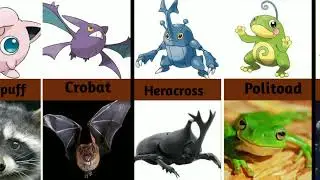 Pokemon inspirations and based on