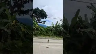 Davao Landview