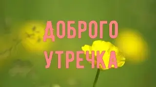 Доброе утро!  Позитив для друзей. Стих-е 