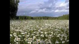 ЛЕТО  исп Аника Далински