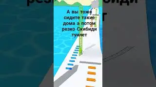 Скибиди туалет...