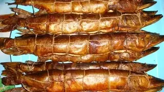Копчение рыбы от ТУГОЛЕСЬЕ!Щука окунь горячего копчения!Как коптить рыбу.