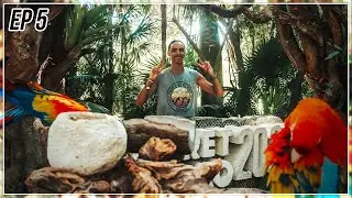 SEEING BABY TURTLES!!! - Mexico Vlog: Episode 5