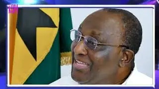 1D1F was my idea sabotaged by Akuffo Addo...Alan Kyerematen fumes...