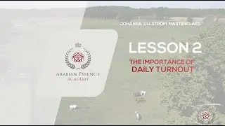 Johanna Ullstrom's 2nd Masterclass - LESSON 2 - The importance of daily turnout for a horse