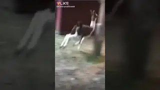 Сегодня будет туса