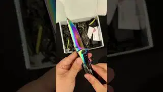 Colorful and beautiful