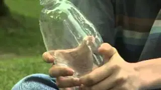 States of matter