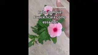 SENTINDO DESANIMADO? SEM VIDA? SEM ESPERANÇA? VAI NA FONTE! E BEBA DA ÁGUA! 😉😍🙏🏻