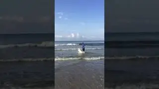 Baxter's first trip to the beach.