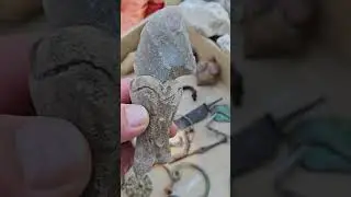 Ростовский клуб коллекционеров #900 #эквинокс #коп2024 #антиквариат #metaldetecting #history #travel
