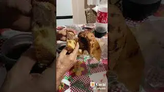Só Bença…#panetones #natal