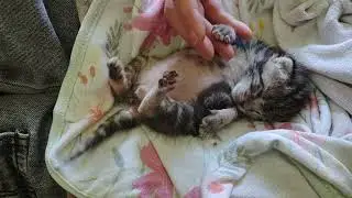 probably asleep