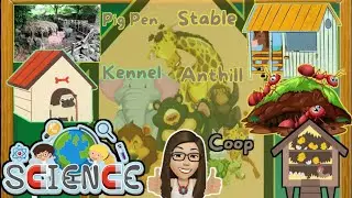 ANIMAL HABITATS
