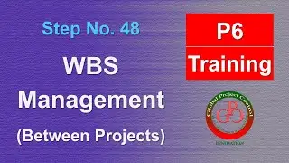 🔴 How do you add WBS and Activities from other Projects?