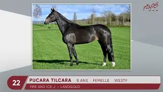 22 - PUCARA TILCARA - APLOMBS