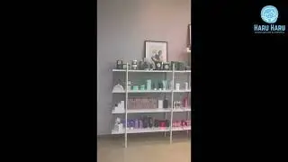 Visiting Yadah HQ | HaruTube