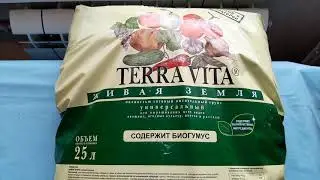 Лучший проверенный грунт для рассады